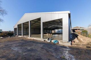 Geschäftslokal mieten in 24398 Dörphof, Neubauhalle mit separaten Lagerabteilen