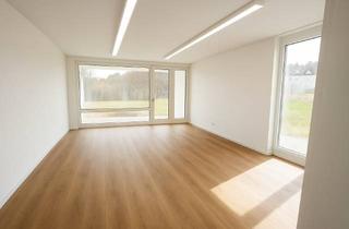 Wohnung mieten in 56307 Dernbach, Modern saniertes 40-m²-Apartment mit Balkon, bodentiefen Fenstern und neuem Bad in Dernbach