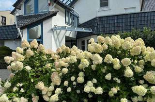 Penthouse mieten in Reintalstr., 53498 Bad Breisig, Exklusive Penthouse-Wohnung in Bad Breisig mit einmaligen Rheinblick