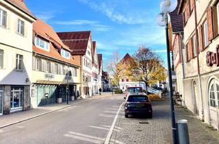 Mehrfamilienhaus kaufen in 72525 Münsingen, Renditestarkes Mehrfamilienhaus mit 4 Einheiten in Münsingen