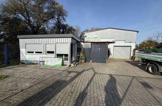 Büro zu mieten in Weidweg 2a, 68782 Brühl, Halle mit Büro / Lager und Vorplatz. Autohandel + Autowerkstatt ausgeschlossen!