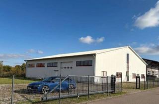 Gewerbeimmobilie kaufen in Schelmenwinkel, 88361 Altshausen, Gepflegte Gewerbehalle mit Verkaufs- und Büroflächen in Altshausen