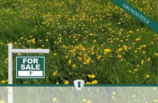 Grundstück zu kaufen in 14513 Teltow, Lukratives Grundstück an der Grenze Teltow/ Lichterfelde