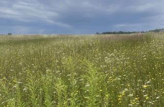 Grundstück zu kaufen in Rosa-Luxemburg-Str., 14806 Bad Belzig, Der Heil-und Lebensort in Bad Belzig im Naturpark Hoher Fläming