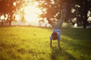 Grundstück zu kaufen in 93051 Kumpfmühl-Ziegetsdorf-Neuprüll, ***Exklusives Grundstück im Herzen von Kumpfmühl***