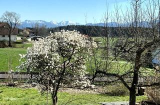 Grundstück zu kaufen in Waldhofstraße, 83365 Nußdorf, Traumhaftes Baugrundstück mit Bergblick
