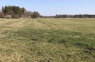 Grundstück zu kaufen in Moosschwaige, 81249 München, Grünland München Aubing / Moosschwaige