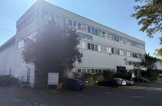 Büro zu mieten in 65830 Kriftel, Büroetage 255 m², klimatisiert