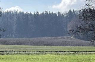 Gewerbeimmobilie kaufen in 86447 Todtenweis, Ackerland, Landwirtschaftliches Grundstück in Todtenweis-Bach