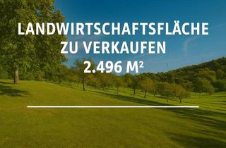 Grundstück zu kaufen in 75181 Pforzheim, Ein Paradies für Naturliebhaber und Visionäre – investieren Sie in den Erhalt wertvoller Landschaft
