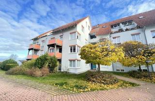 Wohnung kaufen in 08064 Zwickau, Schöne Zweiraumwohnung in ruhiger Mietlage