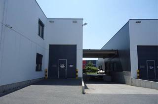 Gewerbeimmobilie mieten in Alexander-Meißner-Str. 36, 12526 Berlin, Halle mit Laderampe Nähe Flughafen Schönefeld zu mieten