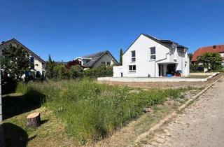 Einfamilienhaus kaufen in 71563 Affalterbach, Affalterbach - Mehr als nur 4 Wände Schlüsselfertiges Neubau-EFH in Affalterbach