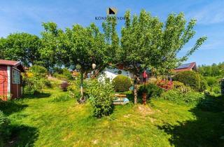 Einfamilienhaus kaufen in 74931 Lobbach, Lobbach - Darfs auch etwas GRÖSSER sein...