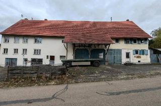 Haus kaufen in 78661 Dietingen, Dietingen - Doppelhaus mit Ökonomieteil, 3 Wohnungen und Garten