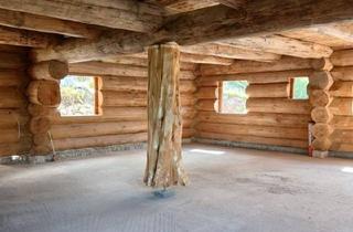 Wohnung kaufen in 79868 Feldberg, Feldberg (Schwarzwald) - Einzigartige Baumstammwohnung aus Douglasie am Feldberg