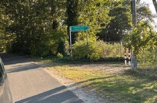 Haus kaufen in 19309 Lenzen, Lenzen (Elbe) - Bungalow in Seenähe LenzenElbe Badestelle 7min fussläufig