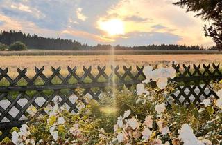 Haus kaufen in 75389 Neuweiler, Neuweiler - Wunderschönes Haus in fast Alleinlage für Ruhe und Erholung