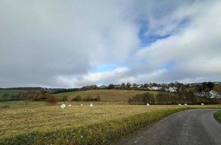 Haus kaufen in 58553 Halver, Halver - Ländliches Haus mit zwei Scheunen Wald, Wiese und Grünflächen in Halver zu verkaufen.