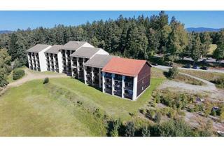 Wohnung kaufen in 94209 Regen, Zwei Wohnungen - ein Kauf:Flexibles Wohnkonzept mit Weitblick.