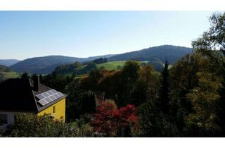 Wohnung mieten in 69253 Heiligkreuzsteinach, sonnendurchflutete 4-Zimmer Wohnung mit Balkon und Garten im Rhein-Neckar-Kreis