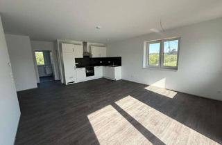 Wohnung mieten in 25767 Albersdorf, ***3-Zimmer-Neubauwohnung in Albersdorf-Erstbezug***