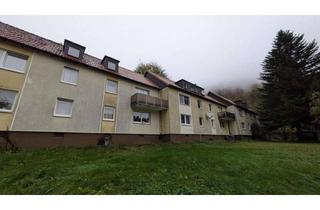 Wohnung mieten in Hübichstraße 36a, 37539 Bad Grund, Charmante möblierte 3-Raum-Wohnung im Naherholungsort Bad Grund – ideal für junge Familien