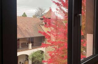 Wohnung mieten in 67269 Grünstadt, Maisonette-Wohnung auf Weingut in Grünstadt-Erstbezug nach Erweiterung