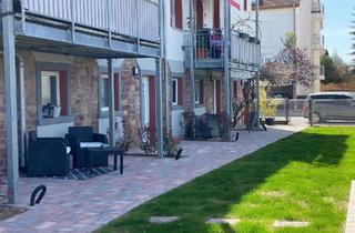 Wohnung mieten in 69207 Sandhausen, Sanierte 1,5 ZKBT für eine Person mit kleiner Terrasse in 8 Familienhaus in gut angebundener Lage