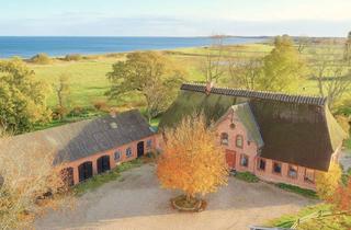 Haus kaufen in 24395 Kronsgaard, Eine absolute Rarität - Großes Reetdachhaus mit traumhaftem Ostseeblick