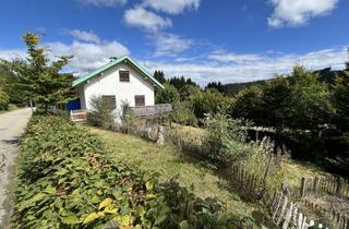 Haus kaufen in Rotkreuzweg, 79868 Feldberg, Individuelles EFH Feldberg Falkau, ca.5 Minuten zum Titisee