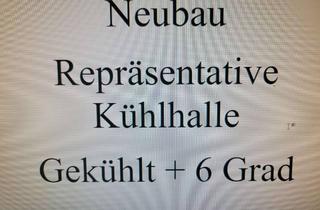 Gewerbeimmobilie mieten in 83352 Altenmarkt, Neubau Kühlhalle Halle Lager Produktionsfläche + 6 Grad