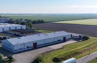 Gewerbeimmobilie mieten in 04509 Krostitz, Lager- und Produktionsfläche in Krostitz