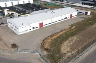 Gewerbeimmobilie mieten in 04509 Krostitz, Lager- und Produktionsfläche in Krostitz