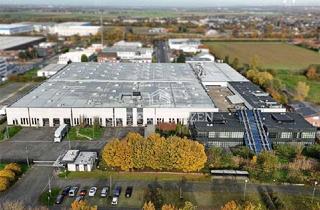 Büro zu mieten in 50170 Kerpen, Provisionsfrei - Logistik- und Büroflächen an AB-Kreuz Kerpen - kurzfristig verfügbar