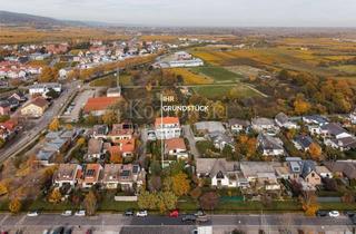 Grundstück zu kaufen in 67146 Deidesheim, Zwischen Weinbergen und Stadt Deidesheim - RESERVIERT - Ihr Baugrundstück für ein neues Haus!