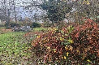 Grundstück zu kaufen in 96123 Litzendorf, Schönes eingewachsenes Grundstück in guter Lage, Wohngebiet