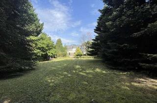 Grundstück zu kaufen in 77797 Ohlsbach, Traumhaftes, großes Grundstücksareal in bevorzugter, äußerst sonniger Ortsrandlage