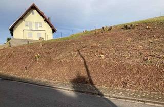 Grundstück zu kaufen in Mühlstraße 12, 67699 Schneckenhausen, Ihr Traum vom Eigenheim: 2 großzügige Baugrundstücke im idylischer Lage von Schneckenhausen