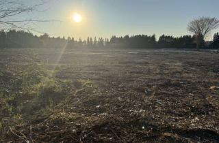 Grundstück zu kaufen in Blechhofweg 10, 41540 Dormagen, Ideal für Familien: Großes Grundstück in Delhoven für Ihr Einfamilienhaus