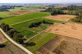 Grundstück zu kaufen in 93099 Mötzing, Exklusives Angebot: landwirtschaftliche Flächen