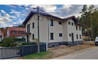 Gewerbeimmobilie mieten in Am Finkenhain 28, 14822 Borkheide, moderne Gewerbeeinheit im Souterrain