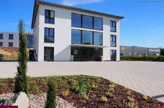 Gewerbeimmobilie mieten in 79227 Schallstadt, Mit Aussicht zum Erfolg.