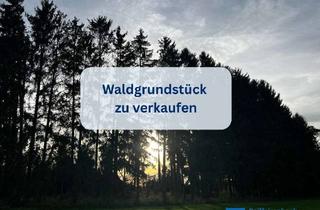 Gewerbeimmobilie kaufen in 86483 Balzhausen, Waldgrundstück "Äußere Hoppen" in Balzhausen zu verkaufen! BIETERVERFAHREN