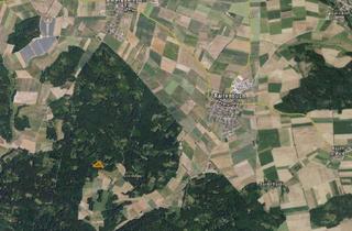 Gewerbeimmobilie kaufen in 91790 Burgsalach, Waldgrundstück in der Gemarkung Burgsalach