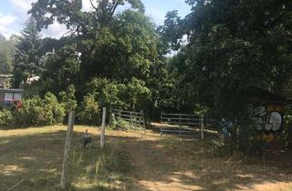 Gewerbeimmobilie kaufen in 12057 Neukölln, Treptow: Baugrundstück - 5.000 m² und eine mögliche NGF von ca. 13.000 m² zu VERKAUFEN