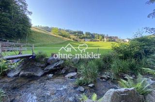 Haus kaufen in 79429 Malsburg, Ein- bis Zweifamilienhaus im Grünen