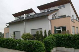 Wohnung mieten in 32760 Detmold, Moderne 2 Zimmer-Wohnung mit Dachterrasse in Hiddesen