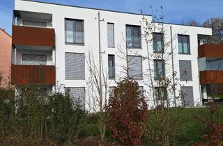 Wohnung mieten in Lampertsgraben, 97437 Haßfurt, Barrierefreie 2-Zimmer Terrassenwohnung mit Balkon in Haßfurt