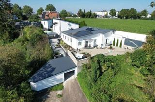 Haus kaufen in 89415 Lauingen, Exklusives Anwesen mit privatem Pool - idyllisch eingebettet am Naturschutzgebiet